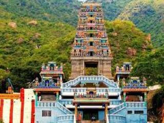 Coimbatore  packers and movers