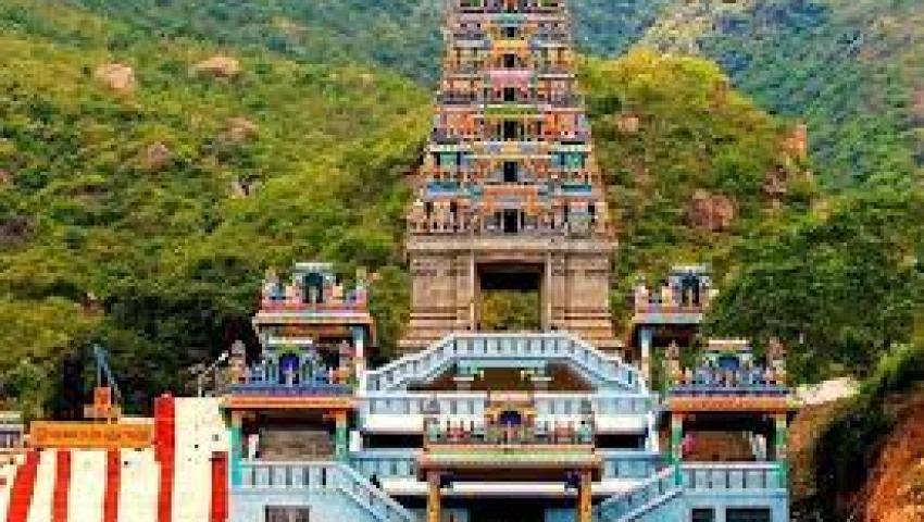 Coimbatore  packers and movers