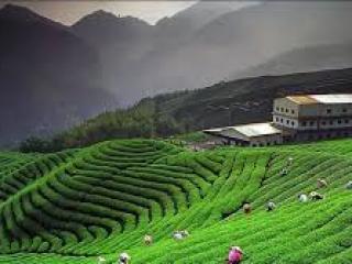 Guwahati packers and movers