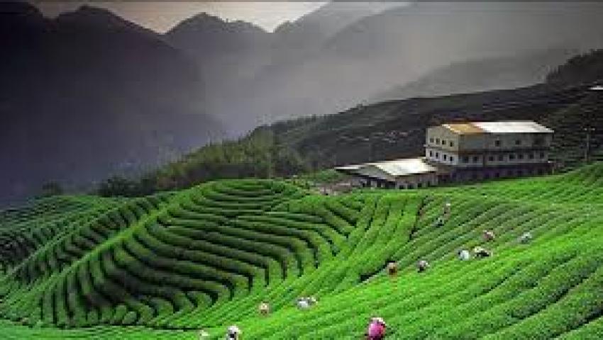 Guwahati packers and movers